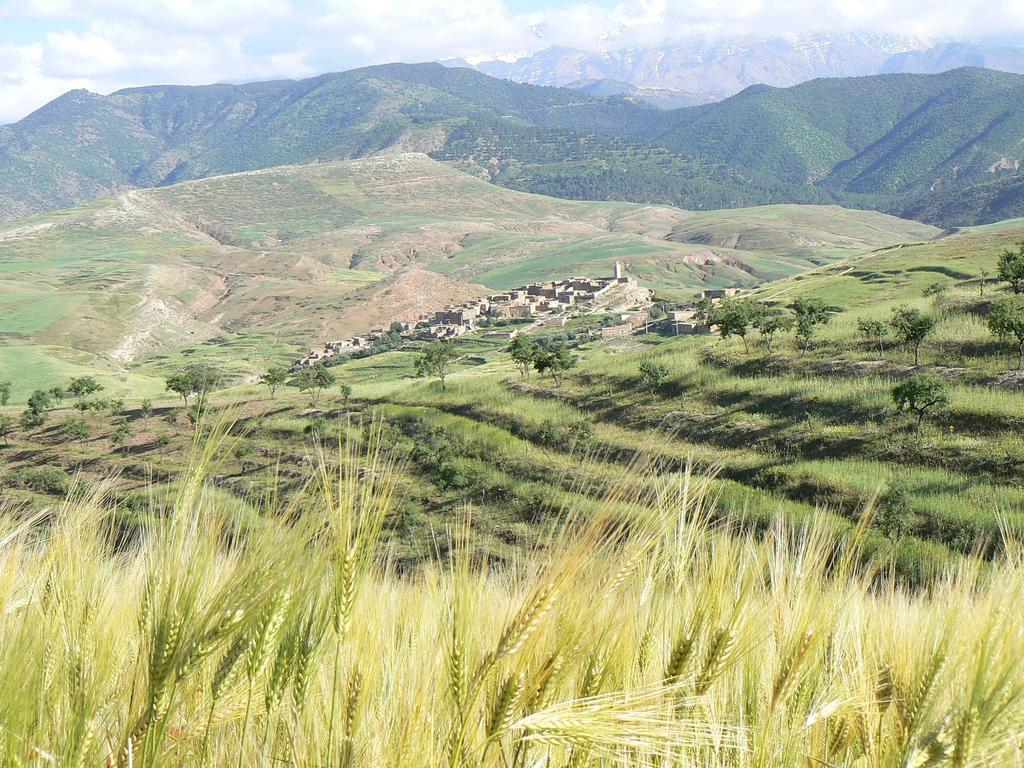 Tigmi Nomade Bed & Breakfast Tahanaout Bagian luar foto